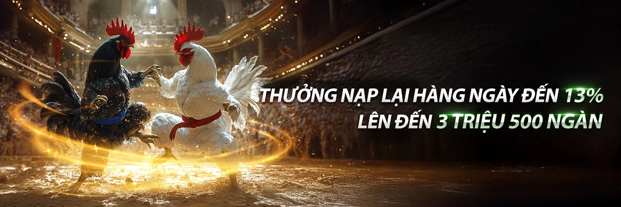 Đá gà Thomo trực tiếp con gà đen
